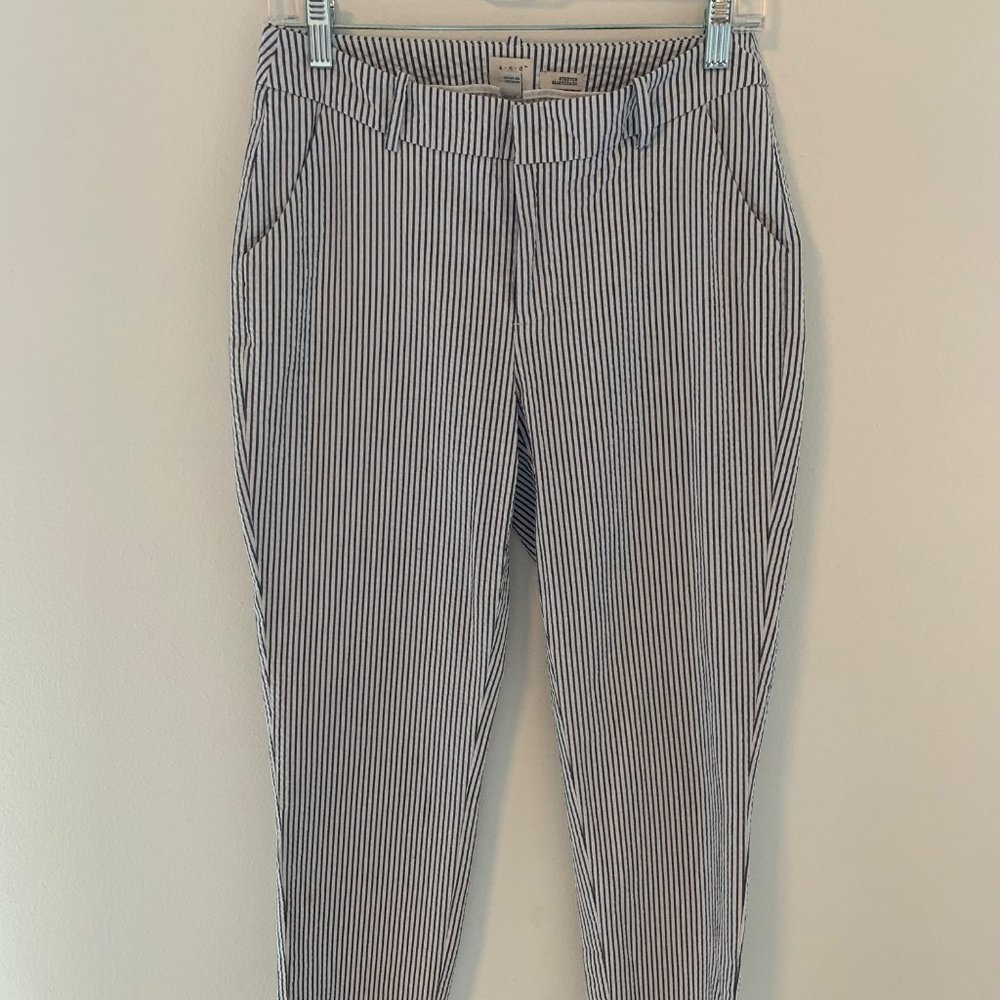 Pin Striped Pants